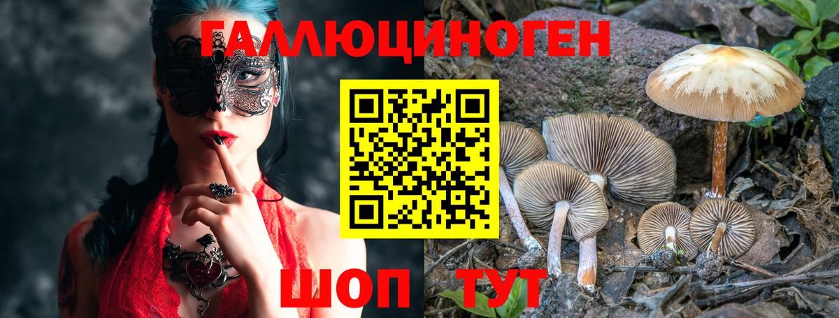 Киселёвск  Галлюциногенные грибы мицелий  Галлюциногенные грибы MAGIC MUSHROOMS  Вход с VPN 